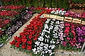 VBS_6627 - FLOREAL Ottobre 2022 - Tre giorni di fiori, piante e bellezza